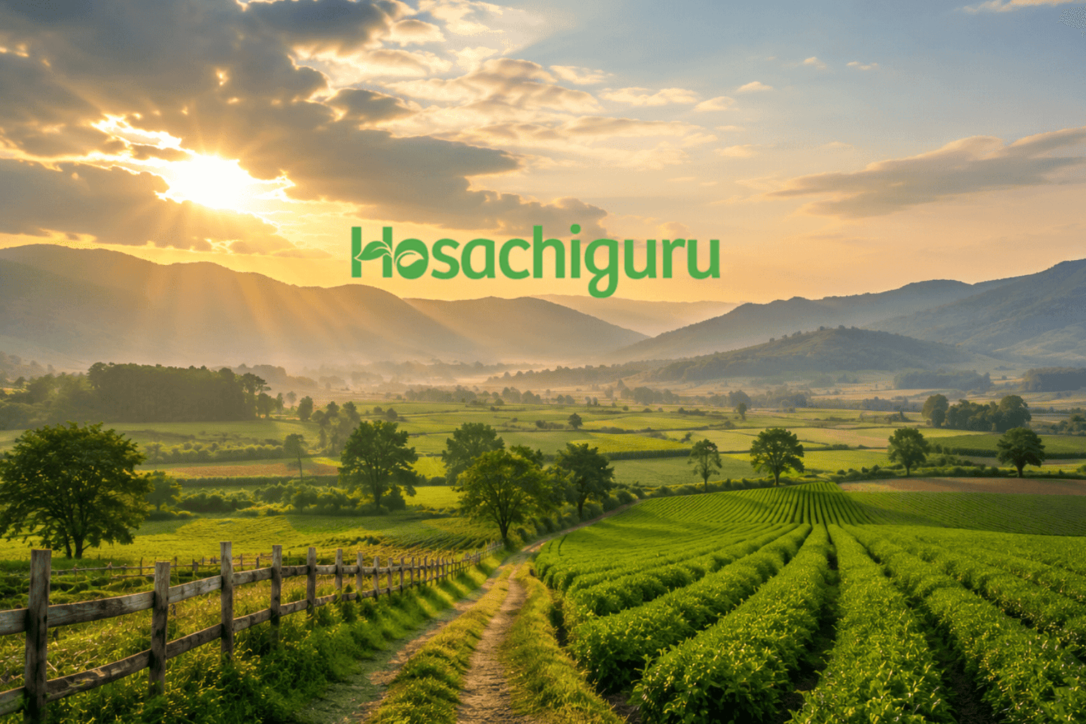 Hosachiguru Weekend Homes Investment Opportunity